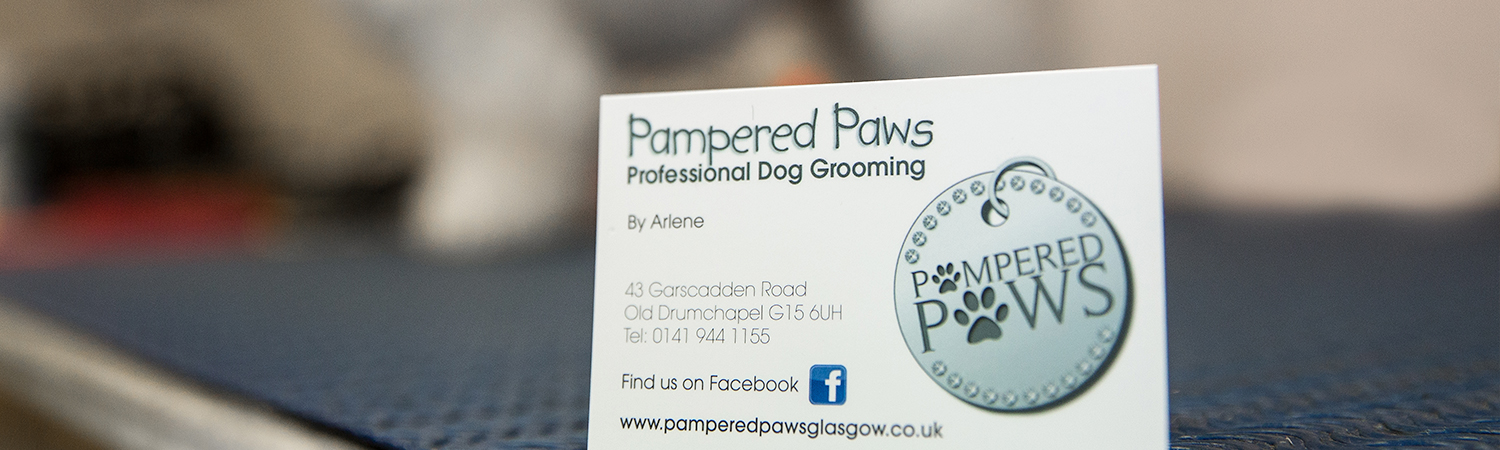 Professional Dog Grooming by Pampered Paws Glasgow